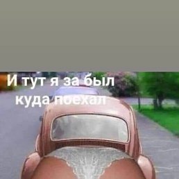 ���������, �������-���������, 34 ����