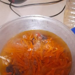 ����������, �����-���������, 33 ����