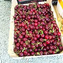 ���� ������, ���������, 38 ��� - ��������� 6 ������� 2023