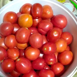 ���, ���, 52 ����