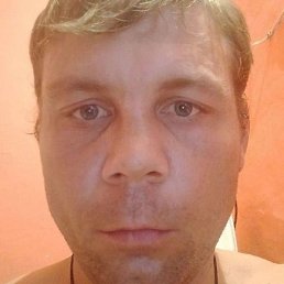 ���������, ���������, 40 ���