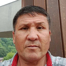 �����, ������, 46 ���