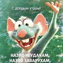 ���� ��������, ������ - ��������� 27 ������ 2023 � ������ ������ ��������