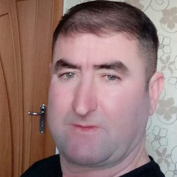 �����, ������, 46 ���