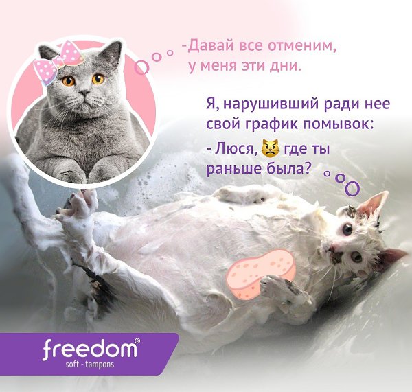 Freedom - чтобы не отменять свидания. https://clck.ru/33e2g4