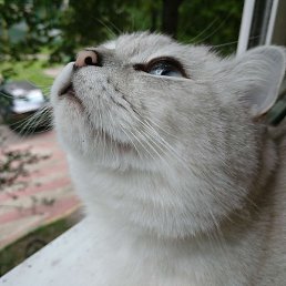 ����, ������, 20 ���