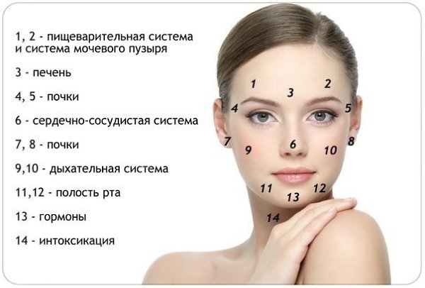 Узнаем по лицу что с организмом.И эта карта поможет вам в этом