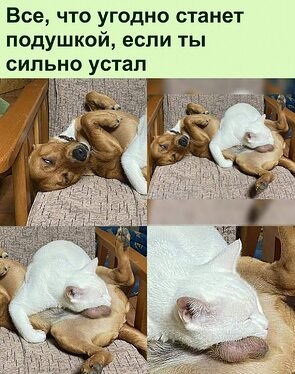   - 11  2023  12:07