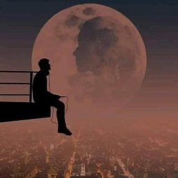 Salm, �������, 37 ���