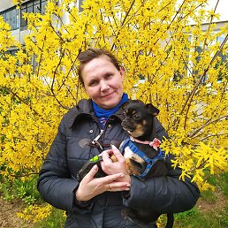 ���������, ����, 42 ����