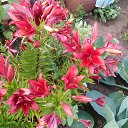 ���� �����, �������, 42 ���� - ��������� 4 ���� 2023