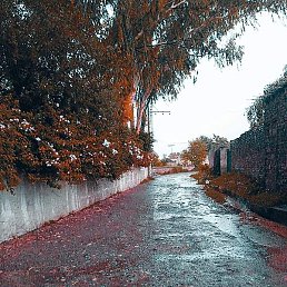 Mak, �������, 22 ����