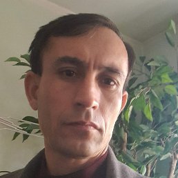 ������, ������, 52 ����