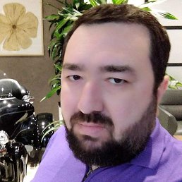 �������, �����, 43 ����