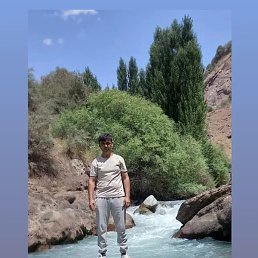 �����, ������, 41 ���