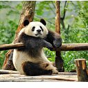 ���� ��������, ����������� - ��������� 27 ���� 2023