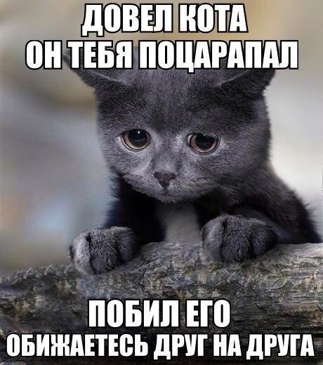   - 3  2023  17:22
