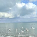 ���� ��������, ������, 68 ��� - ��������� 22 ������� 2023 � ������ ������ ��������