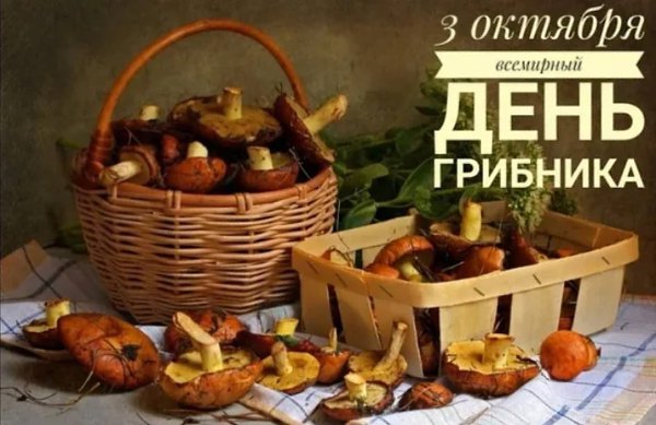  - 3  2023  13:30