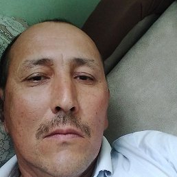 ����, ������, 46 ���