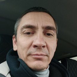 �����, ������, 46 ���