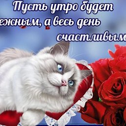 ���� ������, ������, 37 ��� - ��������� 2 ������ 2023