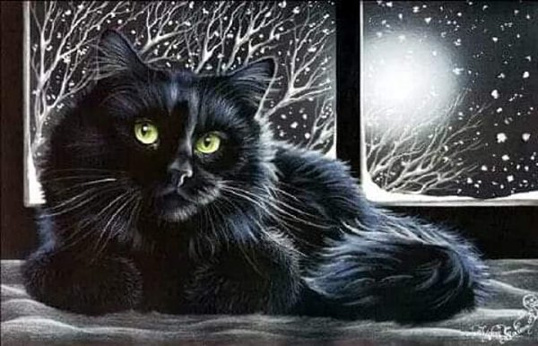 КОТ ПО ИМЕНИ ОБОРМОТ.- Да что же это такое! Сколько можно! Неужели вы русский язык совсем не ...