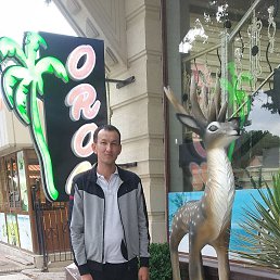 Utkir, ������, 36 ���