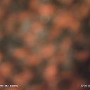 ���� ����, �������, 37 ��� - ��������� 27 ��� 2023 � ������ ���� ����������
