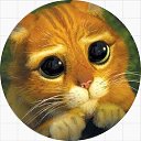 ���� ���������, �������� - ��������� 29 ����� 2023 � ������ ���� ����������