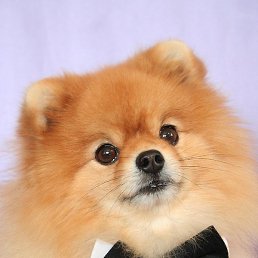 Ergun, ������