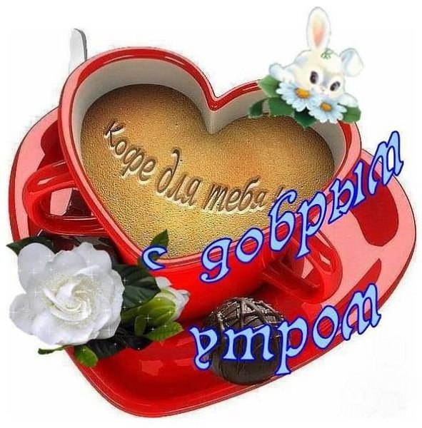 Lunapet - 26  2023  06:37