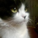 ���� �����, ������� - ��������� 15 ���� 2023 � ������ ���� ����������