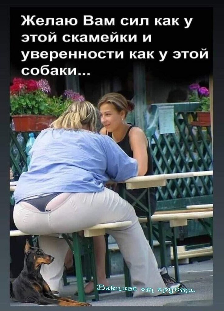  - 6  2023  09:41