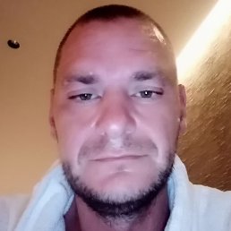 �������, �����, 41 ���