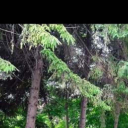 �����, ����������, 30 ���