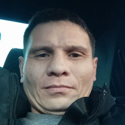 �����, �������, 46 ���
