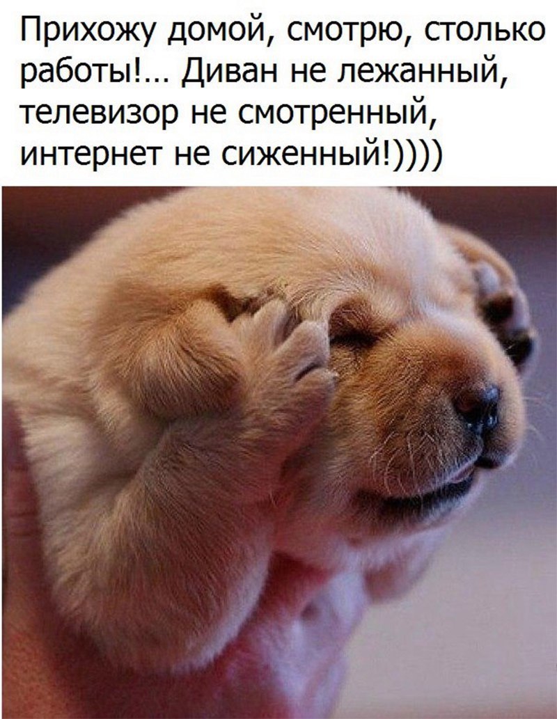   - 20  2023  02:30