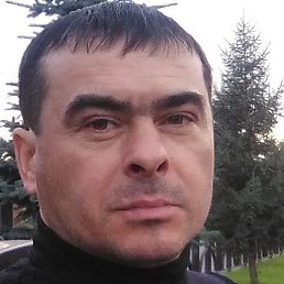 ��������, �����������, 41 ���