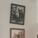 ���� Mark, ����-����, 56 ��� - ��������� 13 ���� 2023 � ������ �cat�