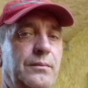 , 61 , 