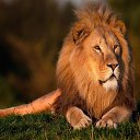 ���� �����, �������, 49 ��� - ��������� 4 ����� 2023 � ������ ���� ����������