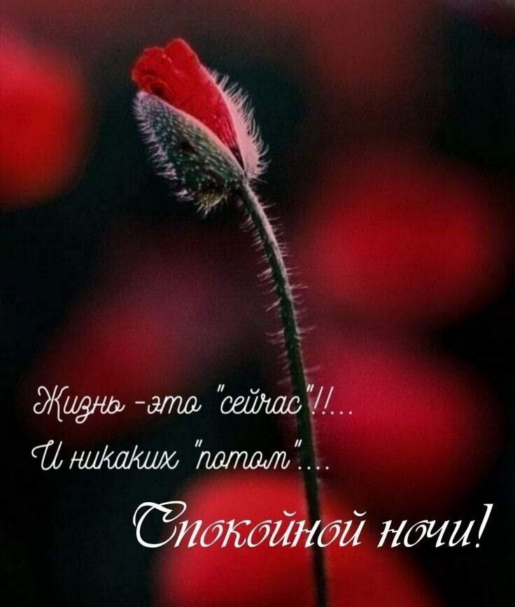   - 18  2023  21:44
