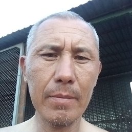 ���������, �������, 46 ���