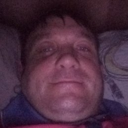 ������, �����������, 41 ���