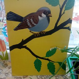 ���� ������, ������������, 36 ��� - ��������� 26 ������ 2023