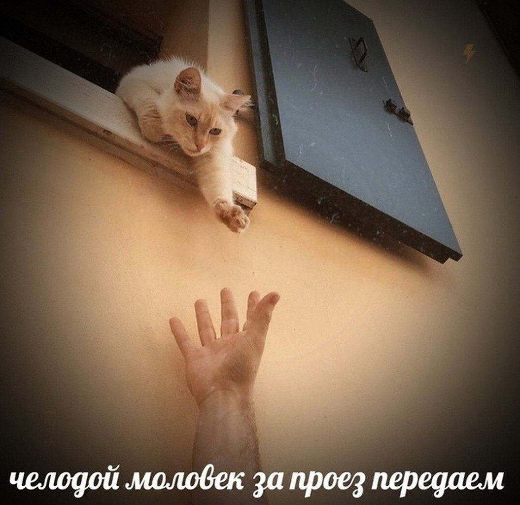    - 6  2023  11:13