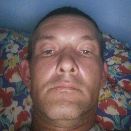 ����, ���������, 41 ���