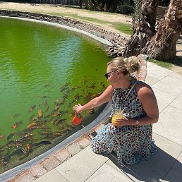 ��������, ���������, 53 ����