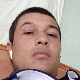 �����, ������, 41 ���